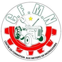 Centre de Formation aux Metiers de Nkongsamba (CFMN) logo - Similar company to Cfmntioe