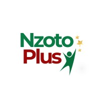 Nzoto Plus logo - Similar company to Ms Dametis