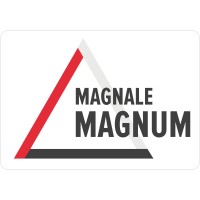 Magnale Magnum logo - Similar company to Syberworks