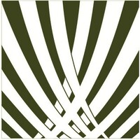 Palmetto Environmental Group logo - Similar company to Nwestco Llc