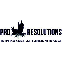 Pro Resolutions logo - Similar company to Jade Infra Oy