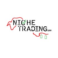 Niche Trading Group logo - Similar company to Nbk Trading