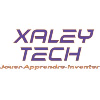 XaleyTech Academy logo - Similar company to Go4Steam