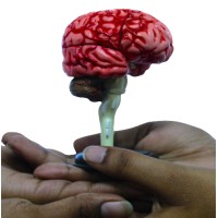 NeuroCognitive Lab DEI logo - Similar company to Hostelbee.Com