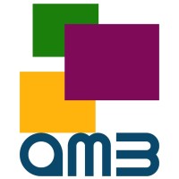 AMB Business Consultants Ltd logo - Similar company to Aranci Advisors Ltd.