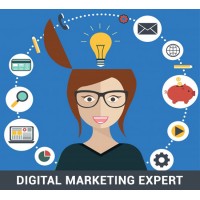 Digital Marketing  Expert Mohali logo - Similar company to Ak It Solution Mohali