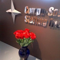 Compu-Source Staffing logo - Similar company to Storied