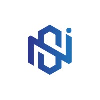 Nityashree Infosystems Pvt.Ltd. logo - Similar company to Boston International Business Group - Bibg