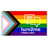 Turn2Me.ie logo - Similar company to Vectigo