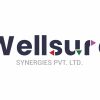 Wellsure Synergies Pvt Ltd logo - Similar company to We Insure Prosperity