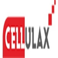 CELLULAX SOFTWARE SERVICES PTE LIMITED logo - Similar company to Netex Cloud Technologies Llc