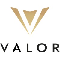 Valor Energy Group logo - Similar company to Pier Solutions