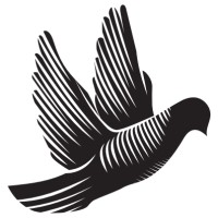 Freda Capital logo - Similar company to Fin Ip Group