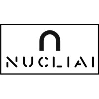 Nucliai logo - Similar company to Nucli Software