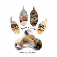 Instinct Animal - SOS Faune Sauvage logo - Similar company to Aiar - Associazione Italiana Di Archeometria