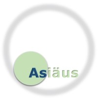 Asiaus Systems logo - Similar company to Admiresys