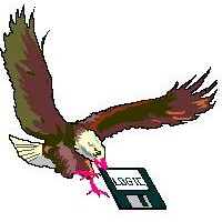 LogicSoft logo - Similar company to Aspioneer