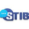 STIB Solutions in Translation and Internationalization for Businesses logo - Similar company to Ipê Editora E Ateliê