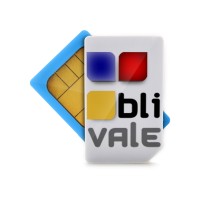BLIVALE LTD logo - Similar company to S