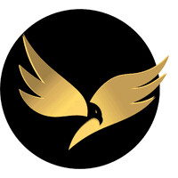 Strategic Leadership iQ logo - Similar company to Mountain Growth