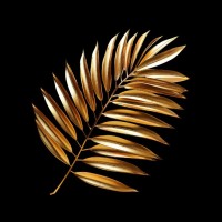Tropix Media logo - Similar company to Innovativity