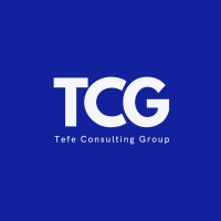 Tefe Consulting Group logo - Similar company to Dijitorya