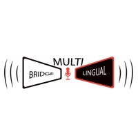 bridge multilingual logo - Similar company to Lexiphoria