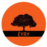 Éyry logo - Similar company to Mystic Momento