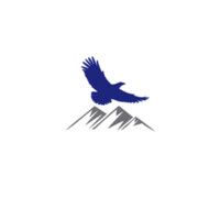Soaring Wisdom Management Co. LLC logo - Similar company to Point2 Technology
