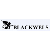 BlackWels logo - Similar company to Surveybackoffice