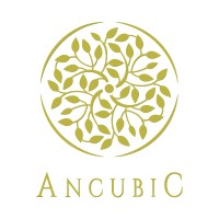 Ancubic Group logo - Similar company to Paramount Developers