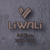 liwali logo - Similar company to Modaselvim.Com