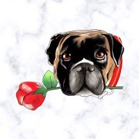 Zoey'S Choice Llc