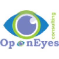 OpenEyes Consulting logo - Similar company to Halber