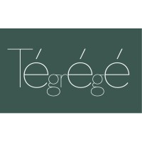 Tégrégé logo - Similar company to Mesenflow Technologies Sarl
