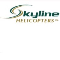 Skyline Helicopters Ltd. logo - Similar company to Netdna