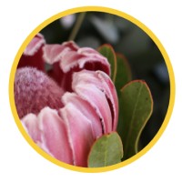 Biodiversify Environmental Consultancy logo - Similar company to Biodiversity Uk