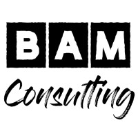 BAM Consulting, Inc. logo - Similar company to Institute For Disaster Management And Reconstruction, Sichuan University