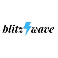 Blitz Wave logo - Similar company to Studywise