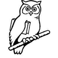 Worcester Institute for Senior Education (WISE)