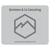 Quintiens & Co Consulting