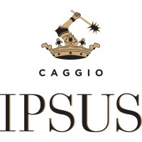 Ipsus logo - Similar company to Riverstone Srl