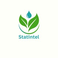 StatIntel logo - Similar company to Kerplunk Technology