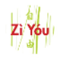 ZiYou logo - Similar company to Tunne