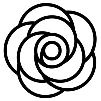 Paravinja - Consulting & Coaching