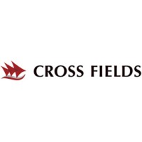 Cross Fields logo - Similar company to Rise Practice