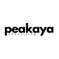 Peakaya Consulting logo - Similar company to Kapua