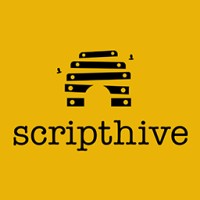 Script Hive logo - Similar company to Divstack