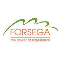 FORSEGA logo - Similar company to Iclm