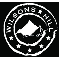 Wilsons Hill Vietnam logo - Similar company to 5Theway
